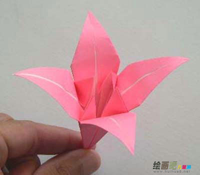 折纸大全：折百合花