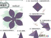 剪纸图案大全：对边折剪的紫荆花