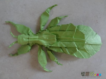 折纸大全：昆虫折纸
