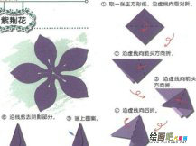 剪纸图案大全：美丽的紫荆花