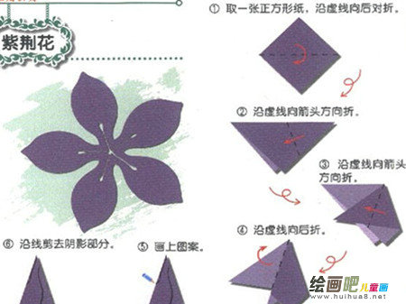 剪纸图案大全：美丽的紫荆花