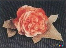 剪纸图案大全：教你制作漂亮的芙蓉花