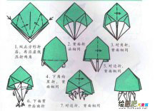 折纸大全：海蜇