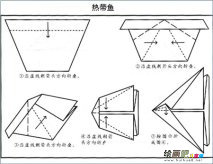 折纸大全：热带鱼