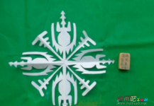 剪纸图案大全：甲虫的剪纸步骤