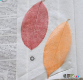 书签制作方法：叶脉书签的详细做法步骤
