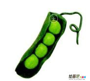 /etsg/xiangpini/20190108/3086.html