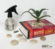 废物利用手工制作：自制创意花盆