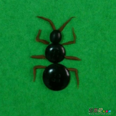 /etsg/xiangpini/20190108/2567.html