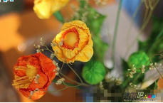 橡皮泥手工制作：布艺装饰花盛开
