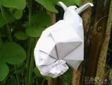 折纸大全：立体的蜗牛折叠教程