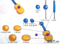 /etsg/xiangpini/20190108/2383.html