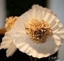 折纸大全：蛋糕纸和废纸制作纸花
