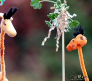 /etsg/xiangpini/20190108/2043.html