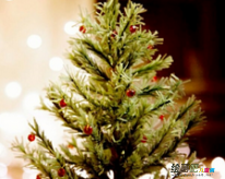 /etsg/shougongzhizuo/20190108/2046.html