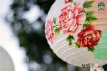 /etsg/shougongzhizuo/20190108/2005.html