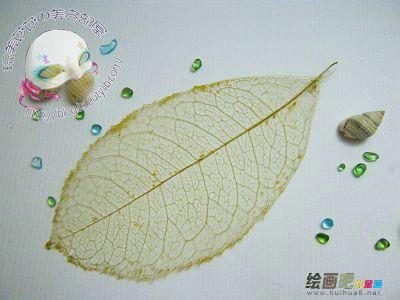 树叶书签