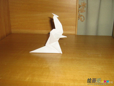 袋鼠
