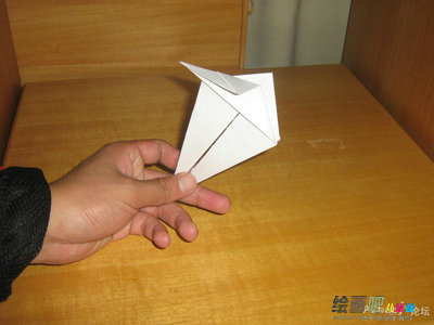 袋鼠