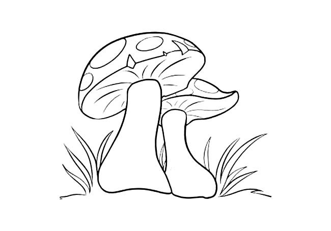 蘑菇简笔画图片