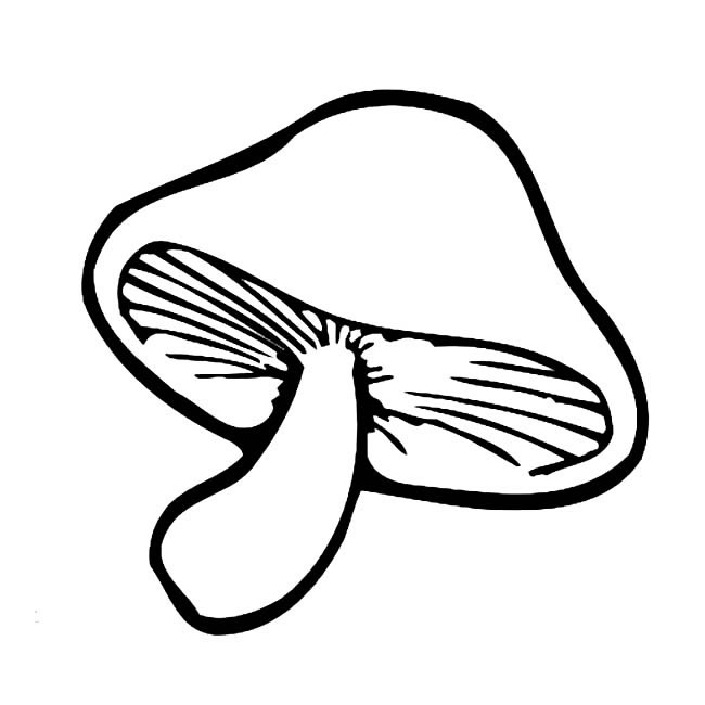 蘑菇简笔画图片