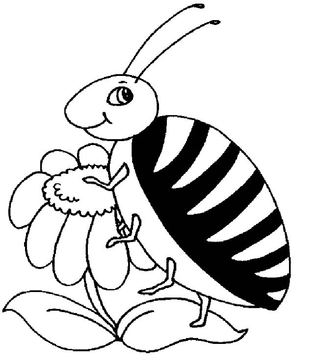 小甲虫简笔画图片