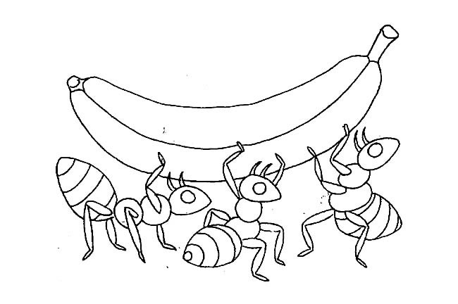 蚂蚁简笔画图片