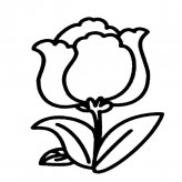 花朵植物花简笔画步骤图片大全