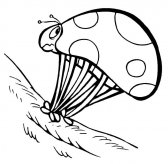 七星瓢虫昆虫简笔画步骤图片大全三
