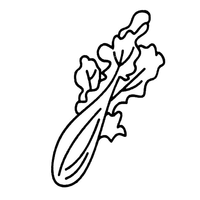 青菜蔬菜简笔画步骤图片大全