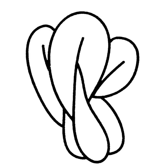 青菜蔬菜简笔画步骤图片大全
