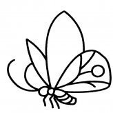 蝴蝶昆虫简笔画步骤图片大全