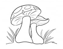 蘑菇蔬菜简笔画步骤图片大全