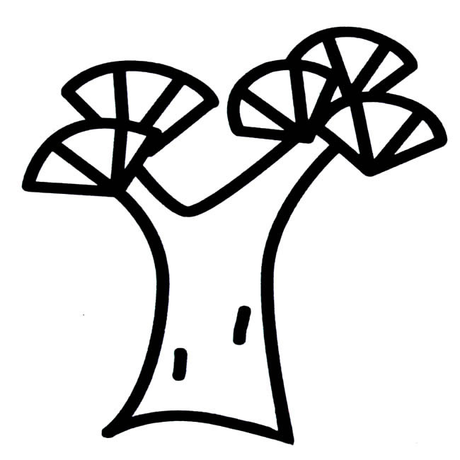 松树植物简笔画步骤图片大全