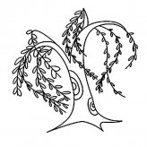 柳树植物简笔画步骤图片大全