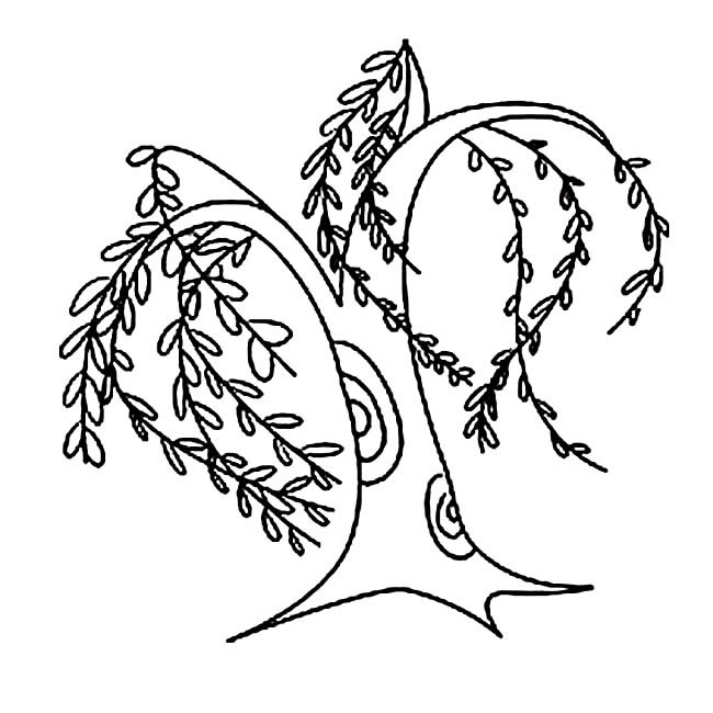 柳树简笔画图片