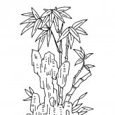 竹子植物简笔画步骤图片大全
