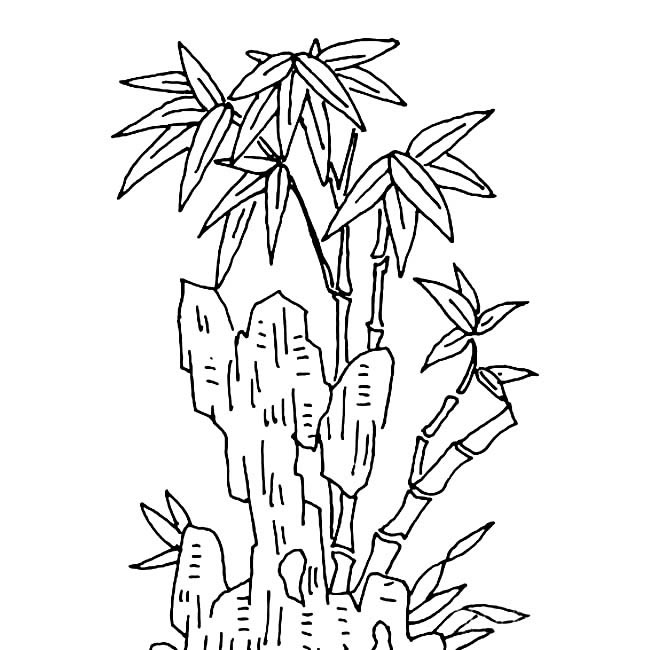 竹子植物简笔画步骤图片大全