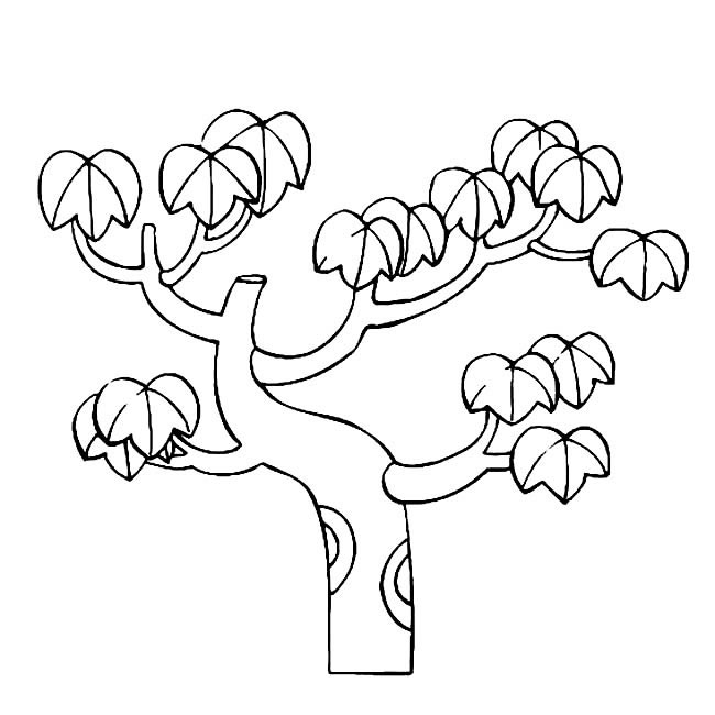 秋天的大树简笔画图片