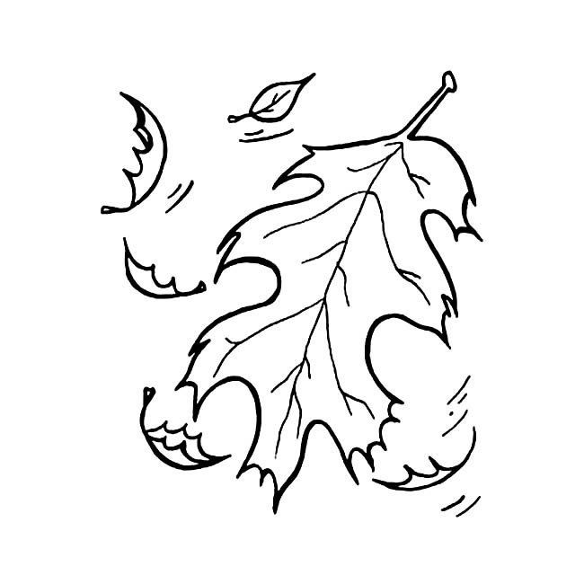 树叶简笔画图片