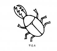 甲壳虫简笔画图片