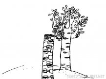 白杨树简笔画图片