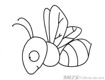 苍蝇简笔画图片