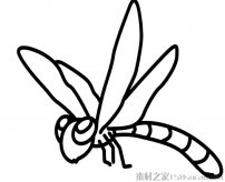蜻蜓简笔画图片