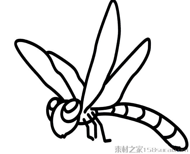 蜻蜓简笔画图片
