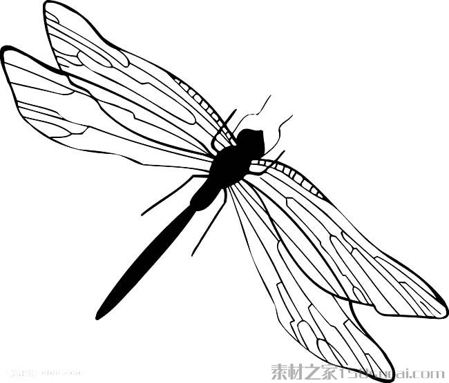 蜻蜓简笔画图片