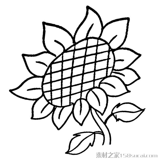 向日葵简笔画图片