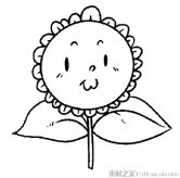 向日葵卡通简笔画图片