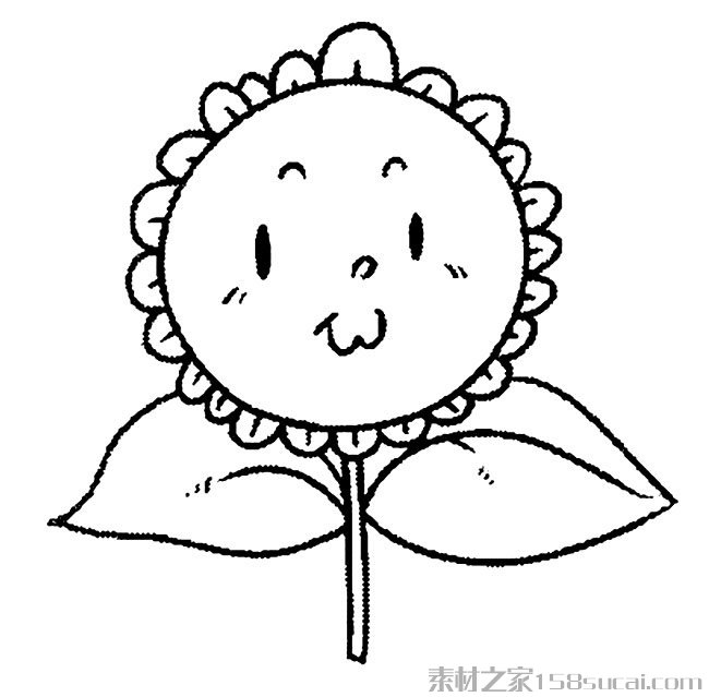 向日葵卡通简笔画图片