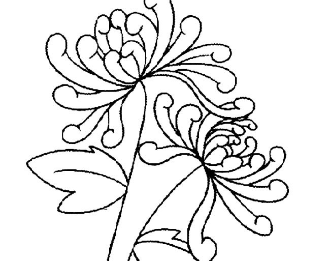 手绘菊花简笔画图片